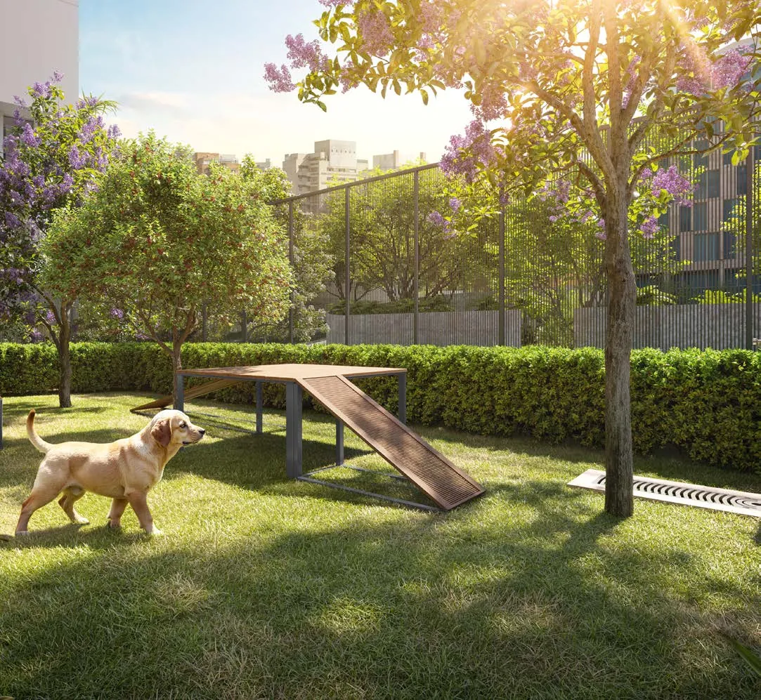 Perspectiva ilustrada: Pet place, Quarten Ibirapuera